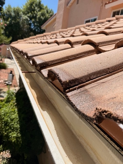 Gutter cleaning close-up