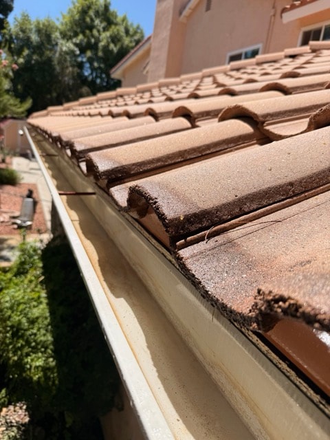 Gutter Cleaning